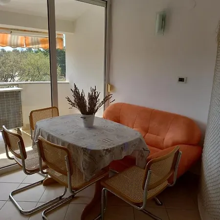 App Petre-3 Floor דירה אומאג